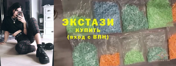шишки Снежногорск