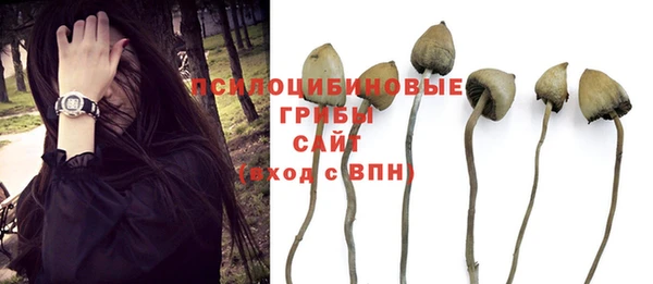 спайс Белокуриха
