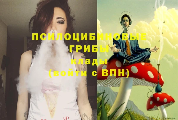 спайс Белокуриха