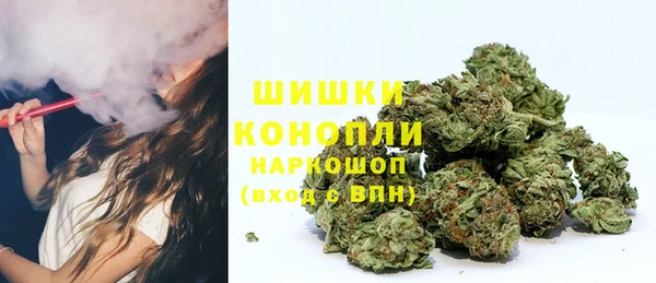 спайс Белокуриха