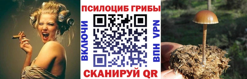 где купить   Верещагино  Галлюциногенные грибы Magic Shrooms 